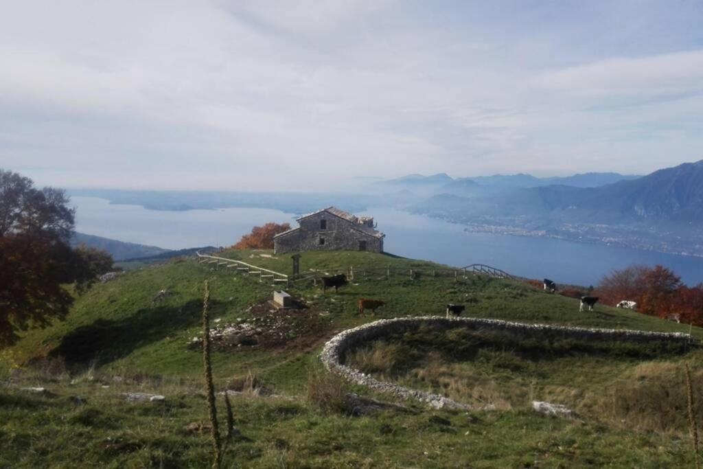 Villa Benacus Lazise Exterior foto